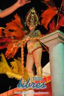 lbum de fotos de Tradicin tercer noche de corso oficial