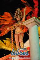 lbum de fotos de Tradicin tercer noche de corso oficial