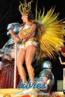 lbum de fotos de Tradicin tercer noche de corso oficial
