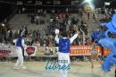 lbum de fotos de Tradicin tercer noche de corso oficial