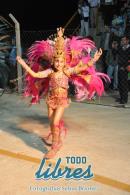 lbum de fotos de Tradicin tercer noche de corso oficial