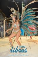 lbum de fotos de Tradicin tercer noche de corso oficial
