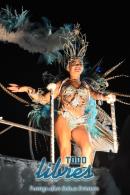 lbum de fotos de Tradicin tercer noche de corso oficial