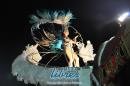 lbum de fotos de Tradicin tercer noche de corso oficial