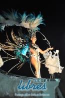 lbum de fotos de Tradicin tercer noche de corso oficial
