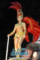 lbum de fotos de Tradicin tercer noche de corso oficial