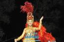lbum de fotos de Tradicin tercer noche de corso oficial