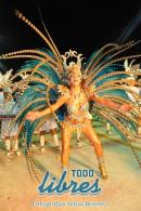 lbum de fotos de Tradicin tercer noche de corso oficial