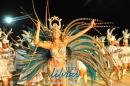 lbum de fotos de Tradicin tercer noche de corso oficial
