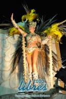 lbum de fotos de Zum Zum tercer noche de corso oficial