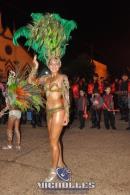 lbum de fotos carnaval de Alvear 2016