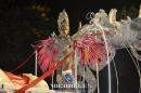lbum de fotos carnaval de Alvear 2016
