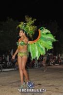 lbum de fotos carnaval de Alvear 2016