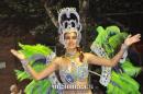 lbum de fotos carnaval de Alvear 2016