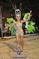 lbum de fotos carnaval de Alvear 2016