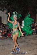 lbum de fotos carnaval de Alvear 2016