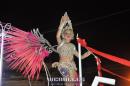 lbum de fotos carnaval de Alvear 2016