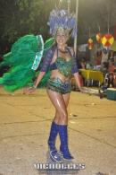 lbum de fotos carnaval de Alvear 2016