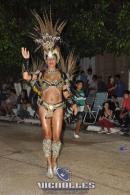 lbum de fotos carnaval de Alvear 2016