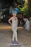 lbum de fotos carnaval de Alvear 2016