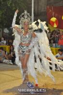 lbum de fotos carnaval de Alvear 2016