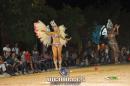 lbum de fotos carnaval de Alvear 2016