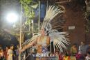 lbum de fotos carnaval de Alvear 2016