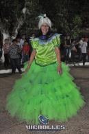 lbum de fotos carnaval de Alvear 2016