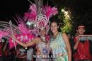 lbum de fotos carnaval de Alvear 2016