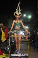 lbum de fotos carnaval de Alvear 2016