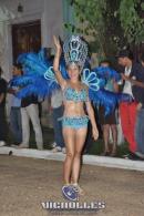 lbum de fotos carnaval de Alvear 2016