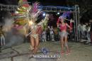 lbum de fotos carnaval de Alvear 2016
