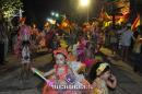 lbum de fotos carnaval de Alvear 2016