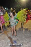 lbum de fotos carnaval de Alvear 2016