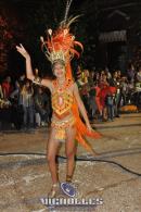 lbum de fotos carnaval de Alvear 2016