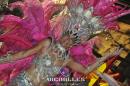 lbum de fotos carnaval de Alvear 2016