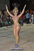 lbum de fotos carnaval de Alvear 2016