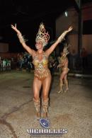 lbum de fotos carnaval de Alvear 2016
