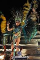 lbum de fotos carnaval de Alvear 2016