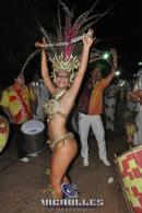 lbum de fotos carnaval de Alvear 2016