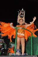 lbum de fotos carnaval de Alvear 2016