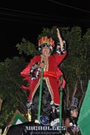 lbum de fotos carnaval de Alvear 2016