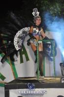 lbum de fotos carnaval de Alvear 2016