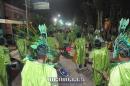 lbum de fotos carnaval de Alvear 2016