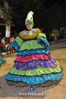 lbum de fotos carnaval de Alvear 2016