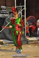 lbum de fotos carnaval de Alvear 2016