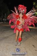 lbum de fotos carnaval de Alvear 2016