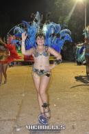 lbum de fotos carnaval de Alvear 2016