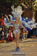 lbum de fotos carnaval de Alvear 2016