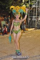 lbum de fotos carnaval de Alvear 2016